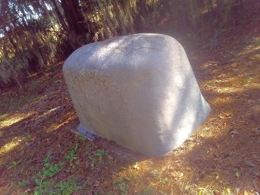 2422 Highway 174 Edisto Island, SC 29438 - Photo 42 of 44 WELL HOUSE