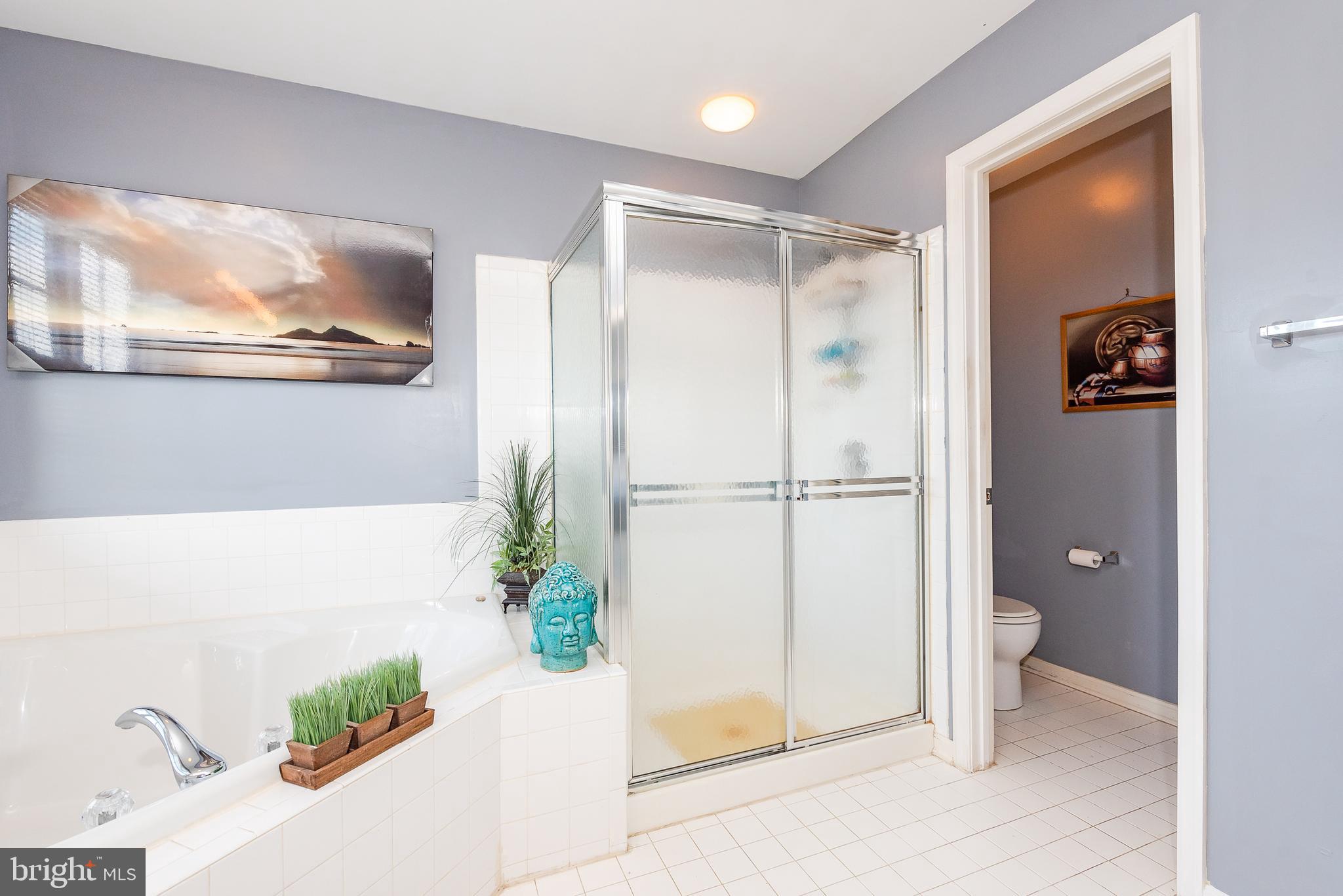 8670 Winands Road Randallstown, MD 21133 - Photo 22 of 44 Owner's Bathroom