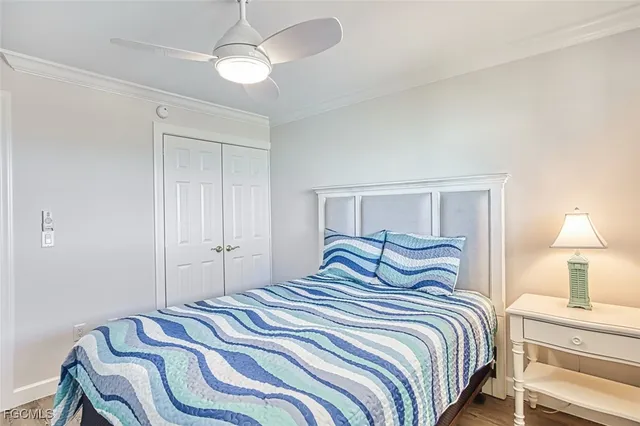 a view of a swimming pool with lawn chairs plants and palm trees
