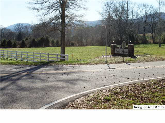 Mount Eagle Lane, Unit 2 Weaver, AL 36277 - Photo 6 of 26