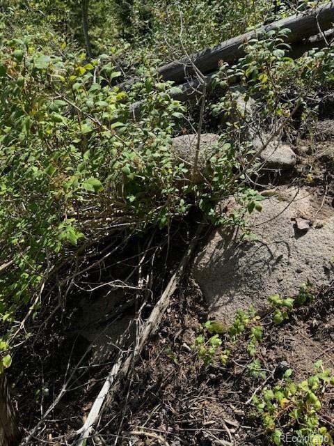 20258 Rangeview Drive Morrison, CO 80465 - Photo 12 of 19