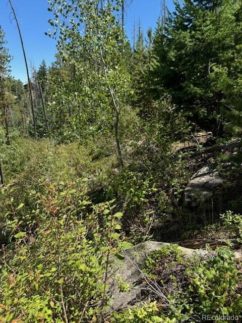 20258 Rangeview Drive Morrison, CO 80465 - Photo 13 of 19