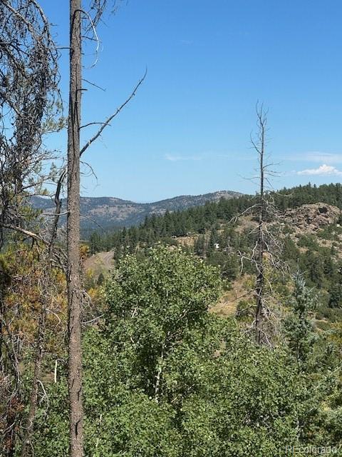 20258 Rangeview Drive Morrison, CO 80465 - Photo 14 of 19