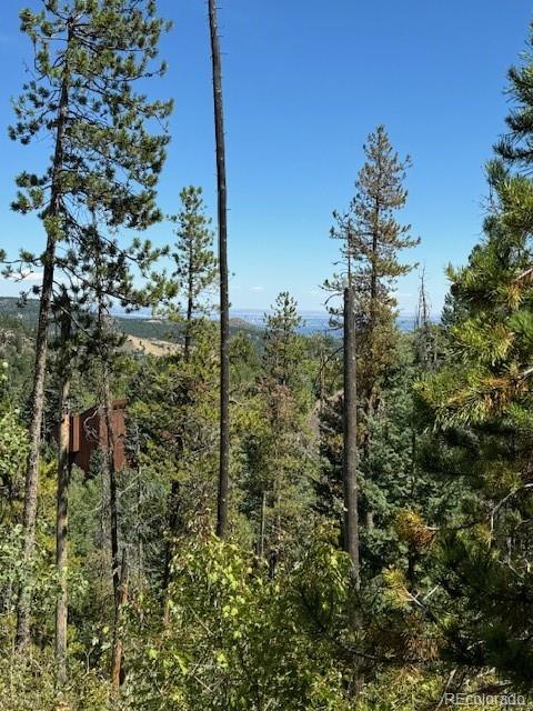 20258 Rangeview Drive Morrison, CO 80465 - Photo 16 of 19