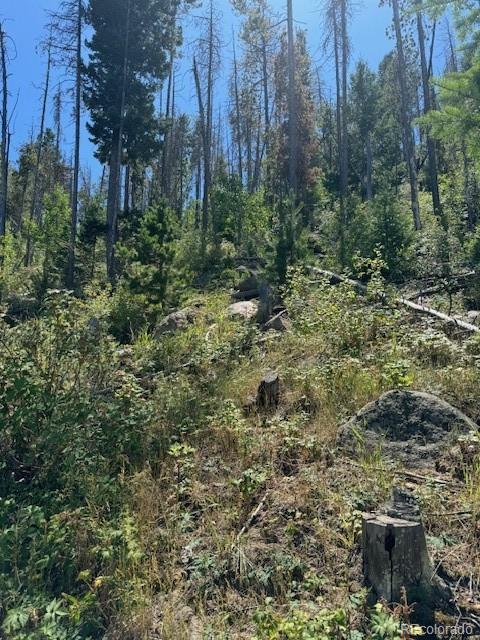 20258 Rangeview Drive Morrison, CO 80465 - Photo 17 of 19