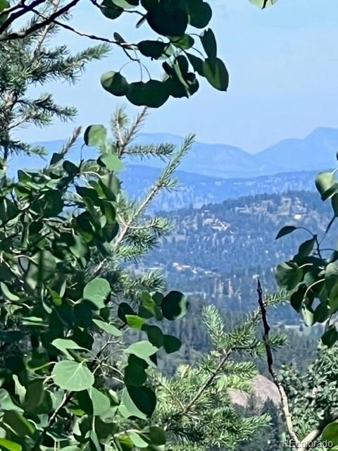 20258 Rangeview Drive Morrison, CO 80465 - Photo 2 of 19