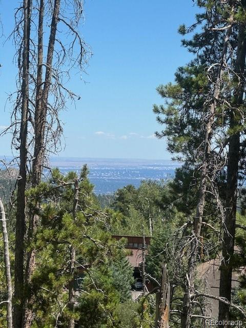 20258 Rangeview Drive Morrison, CO 80465 - Photo 4 of 19