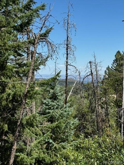 20258 Rangeview Drive Morrison, CO 80465 - Photo 5 of 19