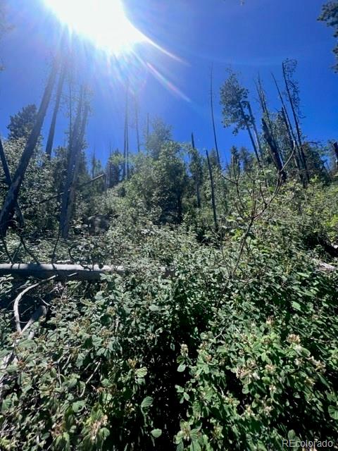 20258 Rangeview Drive Morrison, CO 80465 - Photo 8 of 19