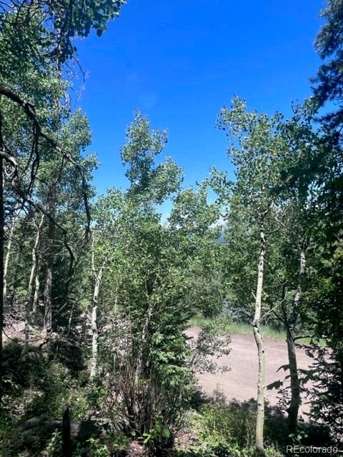 20258 Rangeview Drive Morrison, CO 80465 - Photo 9 of 19