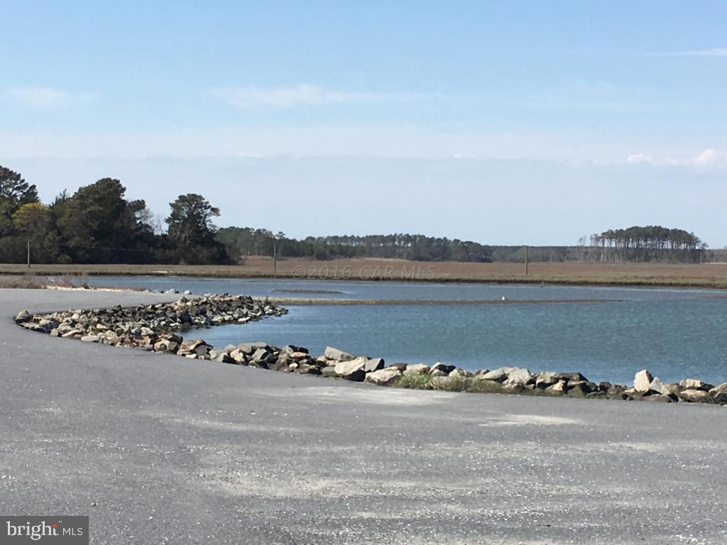 6313 George Island Landing Road Stockton, MD 21864 - Photo 11 of 50