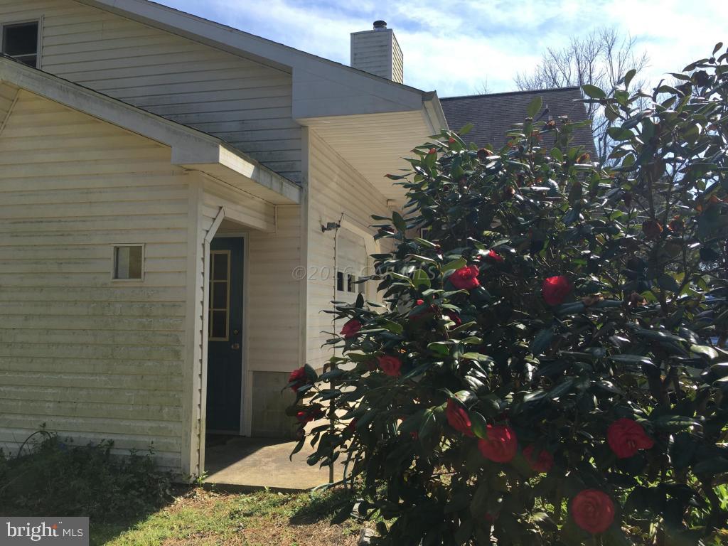 6313 George Island Landing Road Stockton, MD 21864 - Photo 5 of 50
