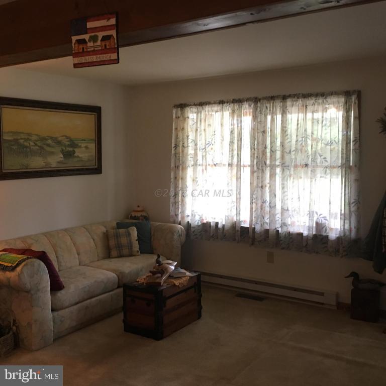 6313 George Island Landing Road Stockton, MD 21864 - Photo 44 of 50