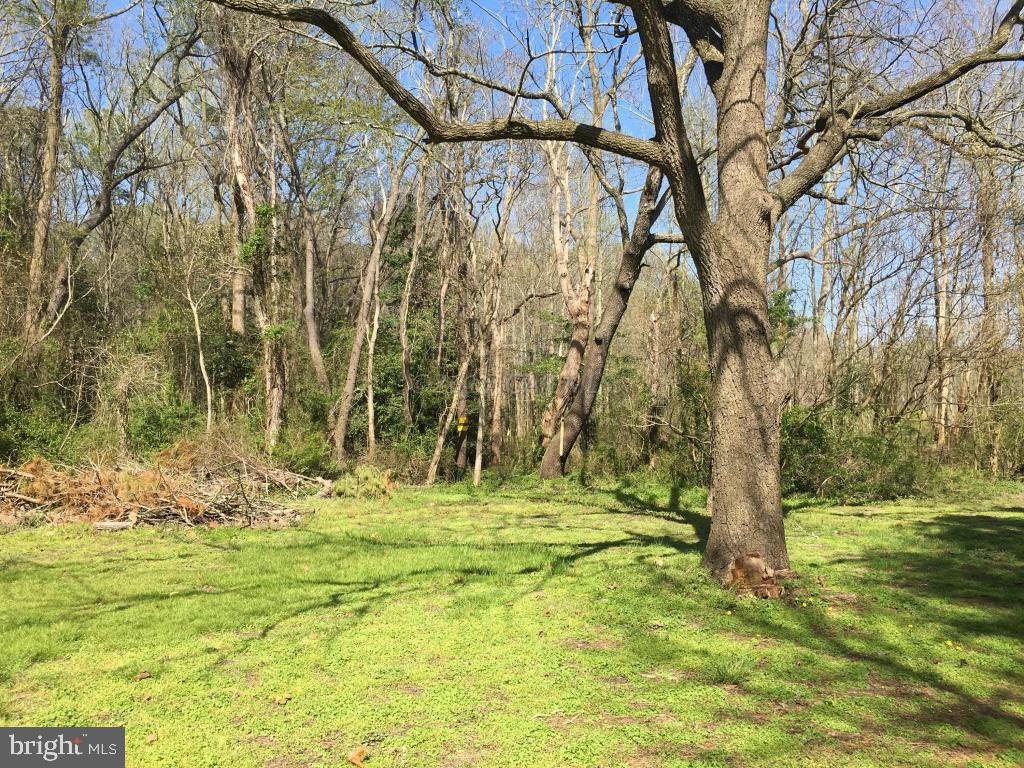 6313 George Island Landing Road Stockton, MD 21864 - Photo 6 of 50
