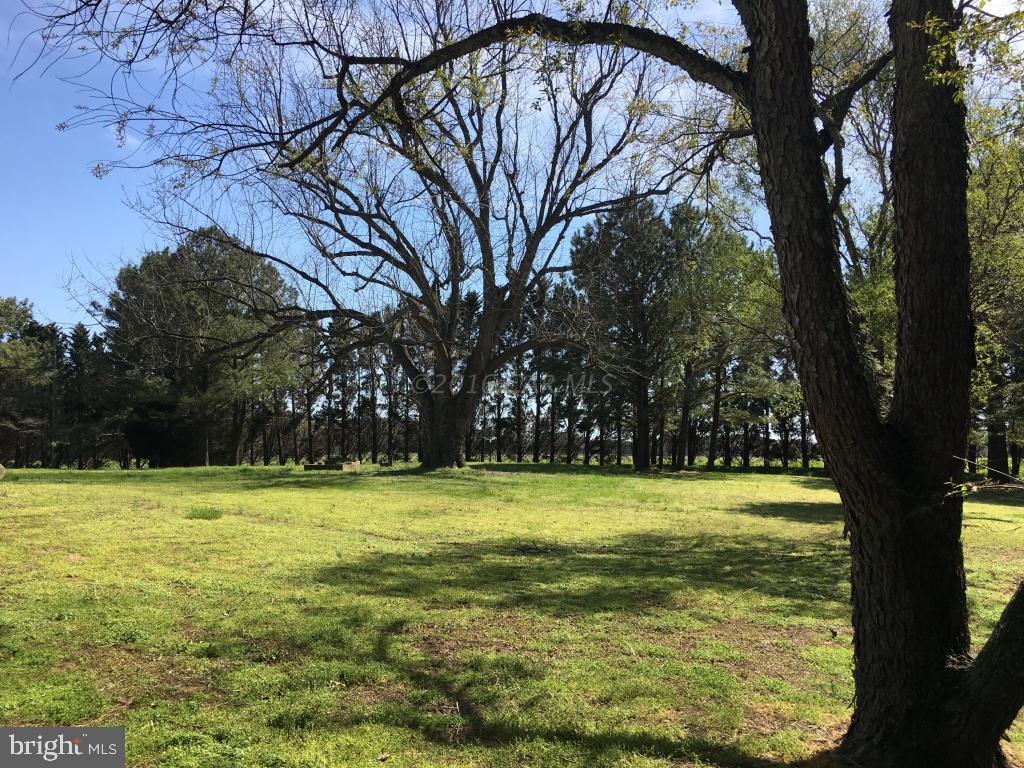 6313 George Island Landing Road Stockton, MD 21864 - Photo 7 of 50