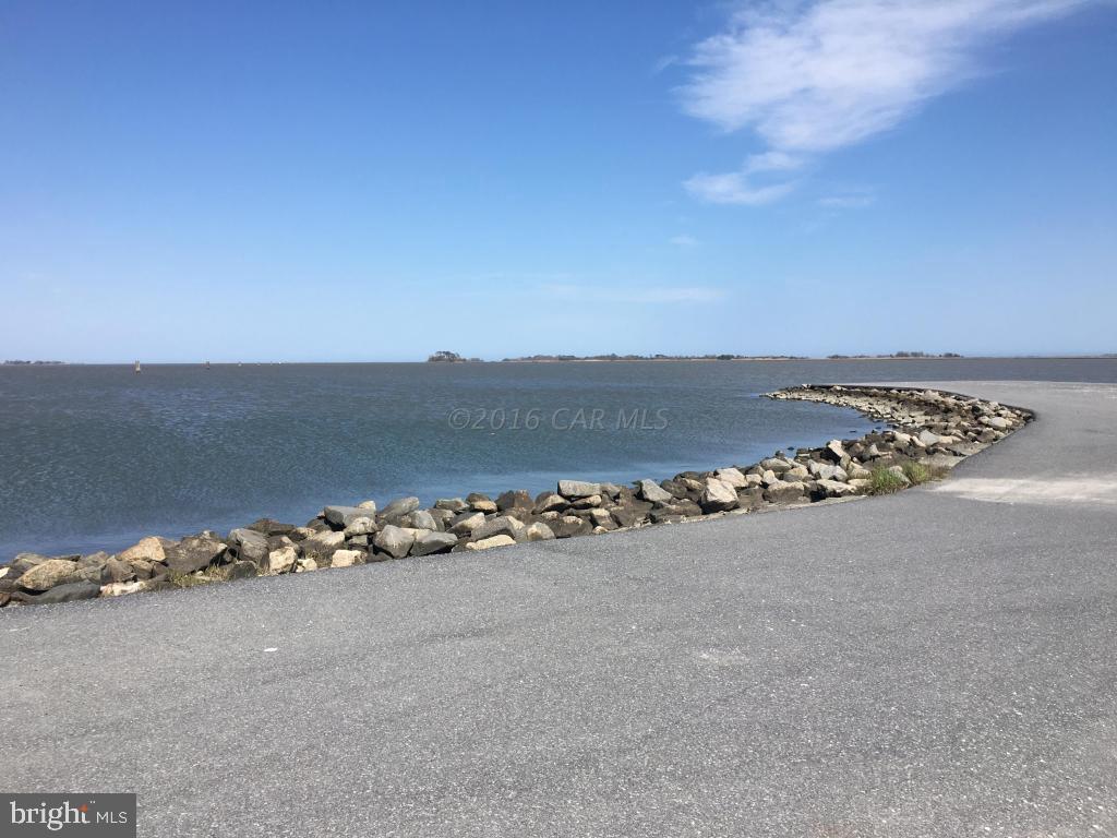 6313 George Island Landing Road Stockton, MD 21864 - Photo 8 of 50