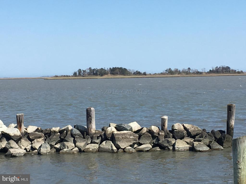 6313 George Island Landing Road Stockton, MD 21864 - Photo 9 of 50