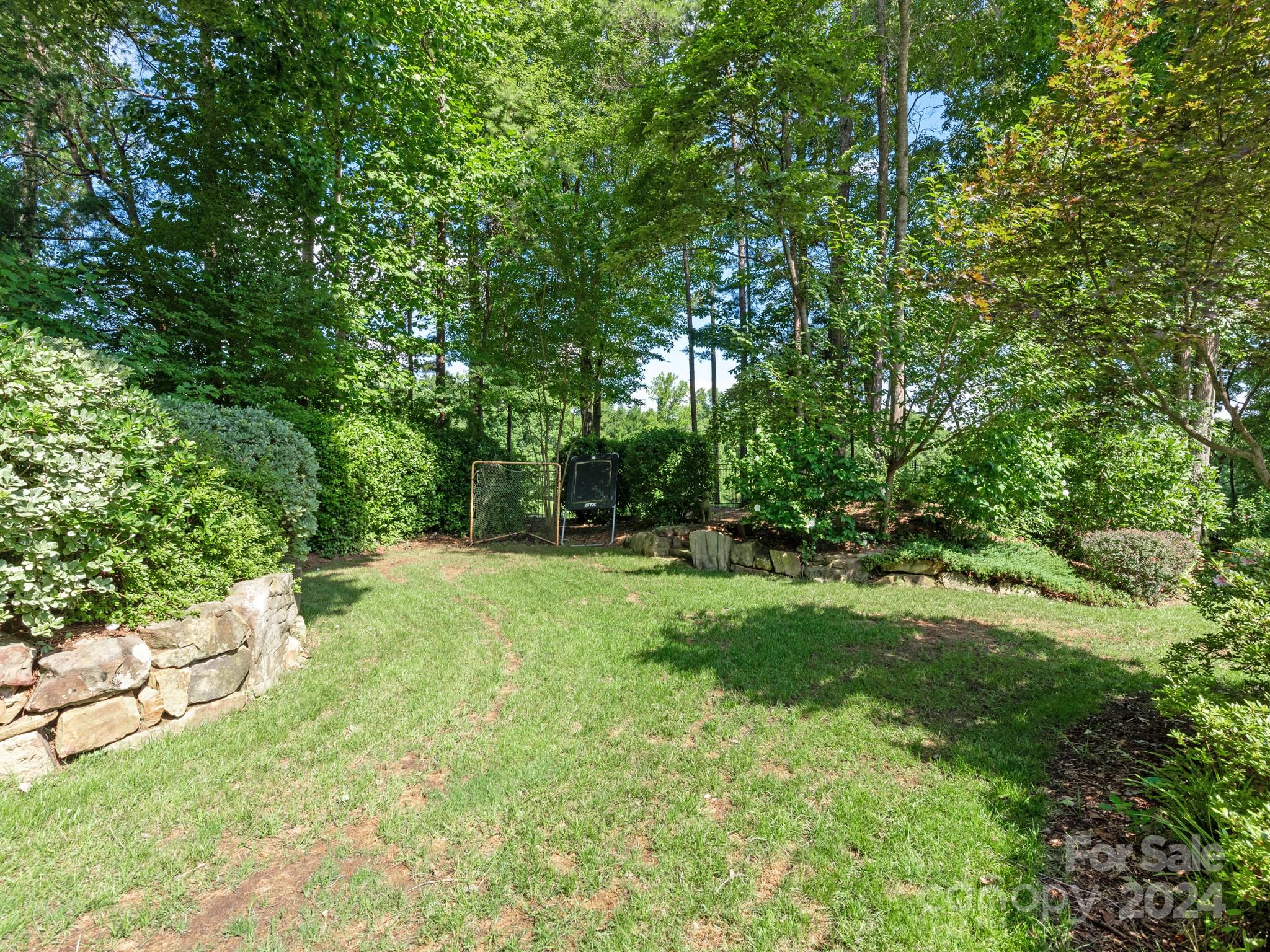 238 Horton Grove Road Fort Mill, SC 29715 - Photo 36 of 47 a view of backyard with green space