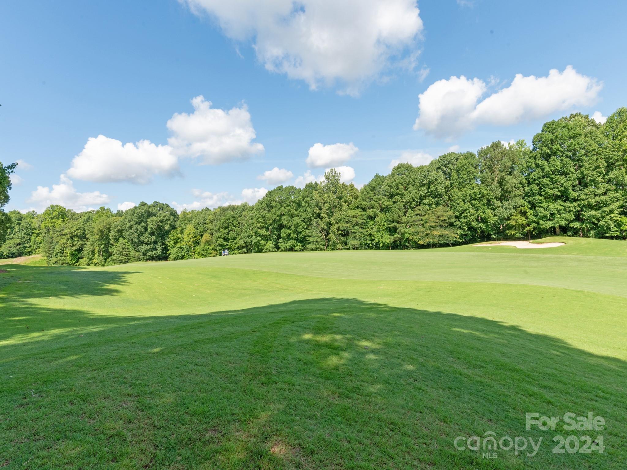 238 Horton Grove Road Fort Mill, SC 29715 - Photo 47 of 47 a view of an ocean and yard