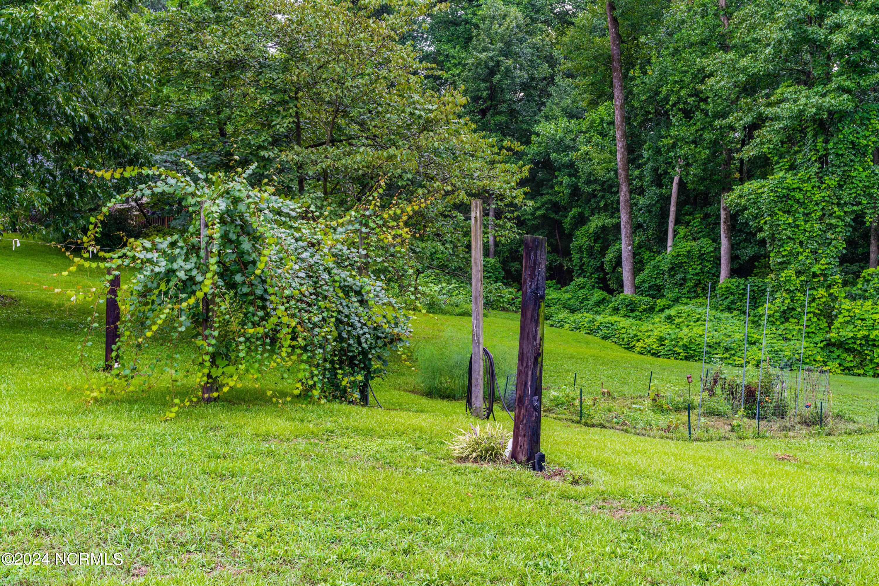 1350 Grady Road Clinton, NC 28328 - Photo 43 of 60 Grape Vines