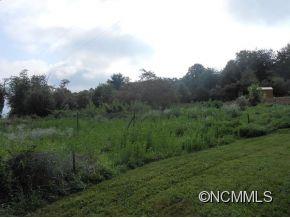 100 Moores Valley Road Leicester, NC 28748 - Photo 4 of 6