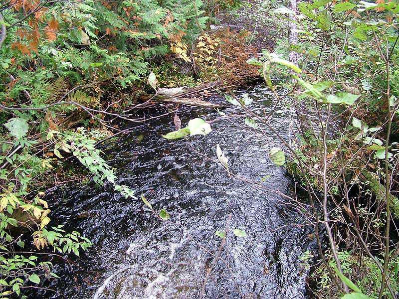 Lot 28 Fire Road Linneus, ME 04730 - Photo 19 of 34 Other. Touches Beaver Brook In One...