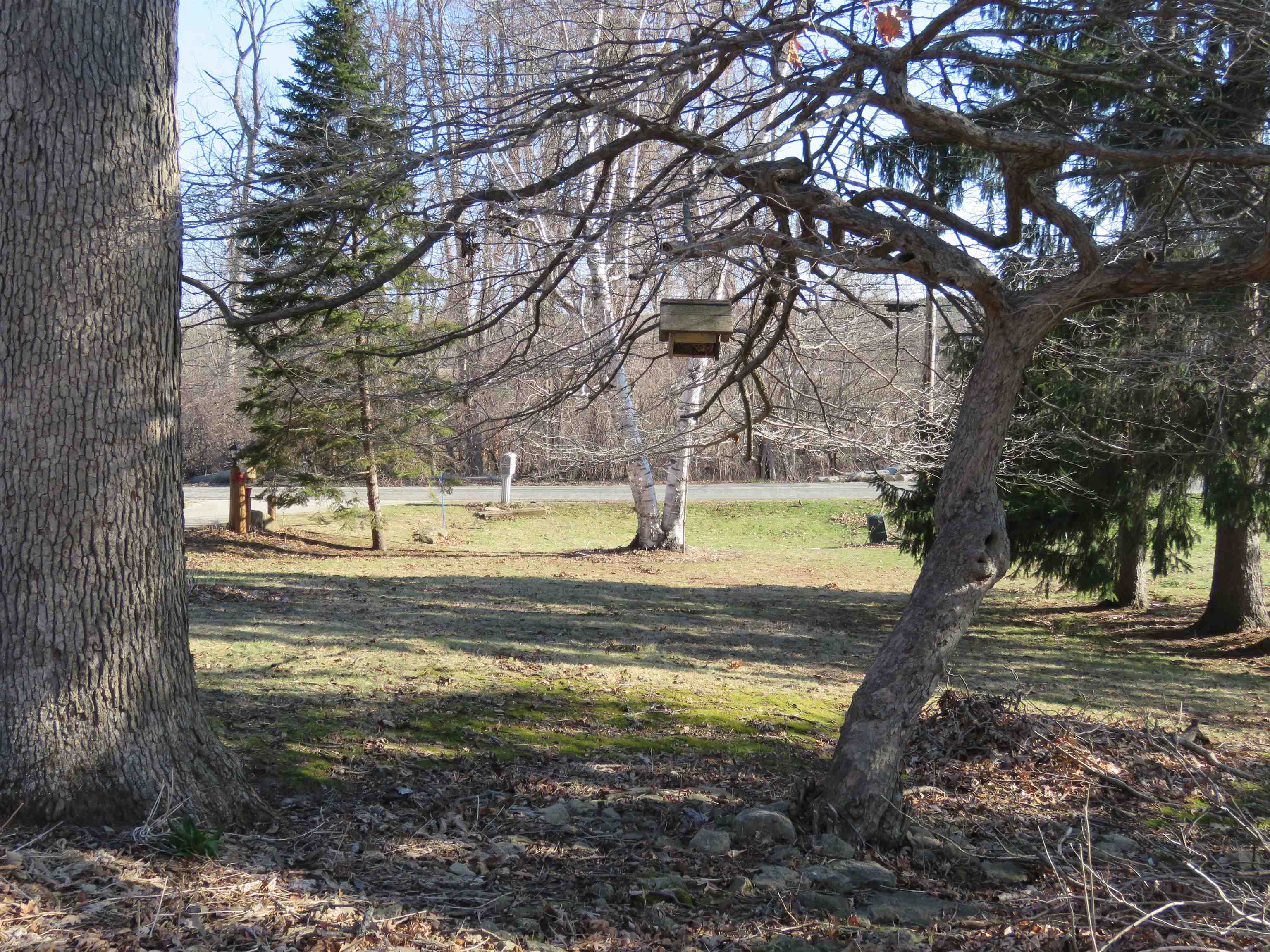 W9847 Dunn Road Fox Lake, WI 53933 - Photo 21 of 46