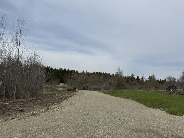 Lot 2 Holmes Bay Farms Road Whiting, ME 04691 - Photo 5 of 15