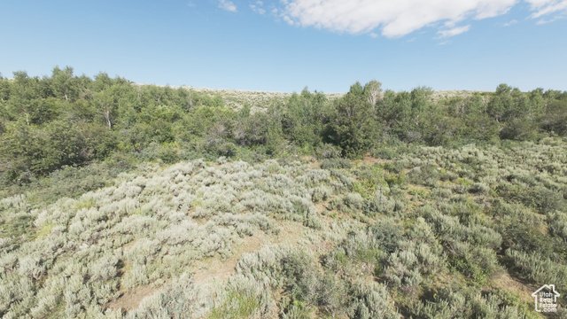 10 Stauffer Canyon Road Montpelier, ID 83254 - Photo 28 of 50 View of woods