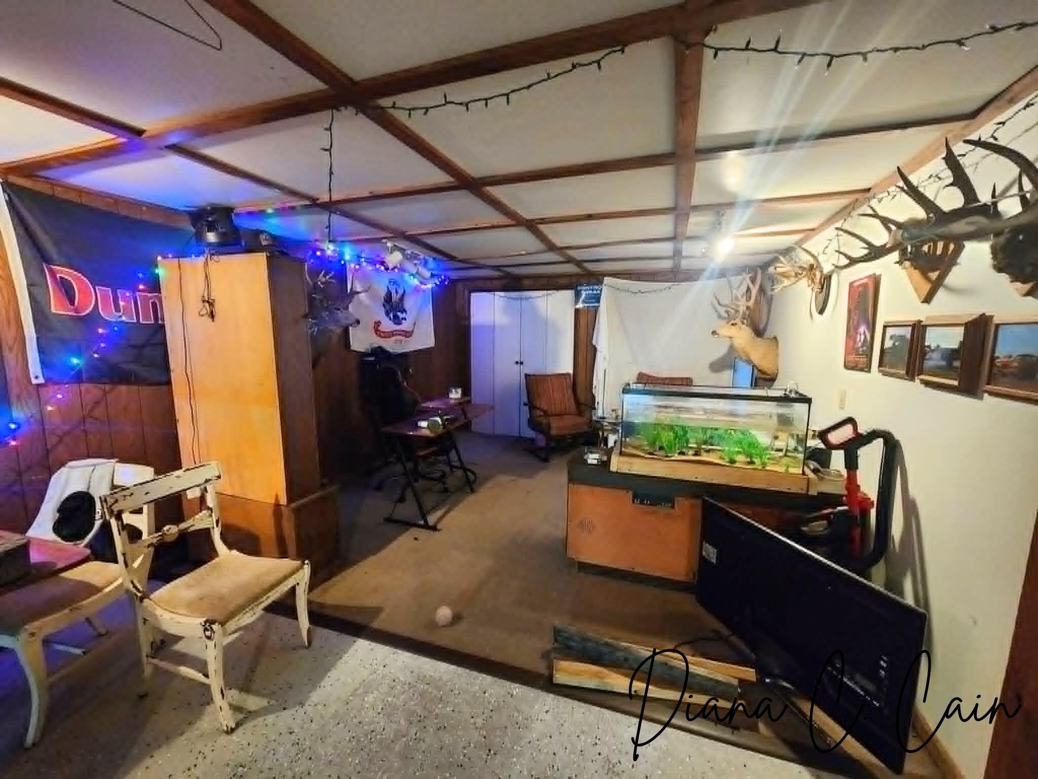 123 Riverside Drive Hart, MI 49420 - Photo 19 of 24 Basement