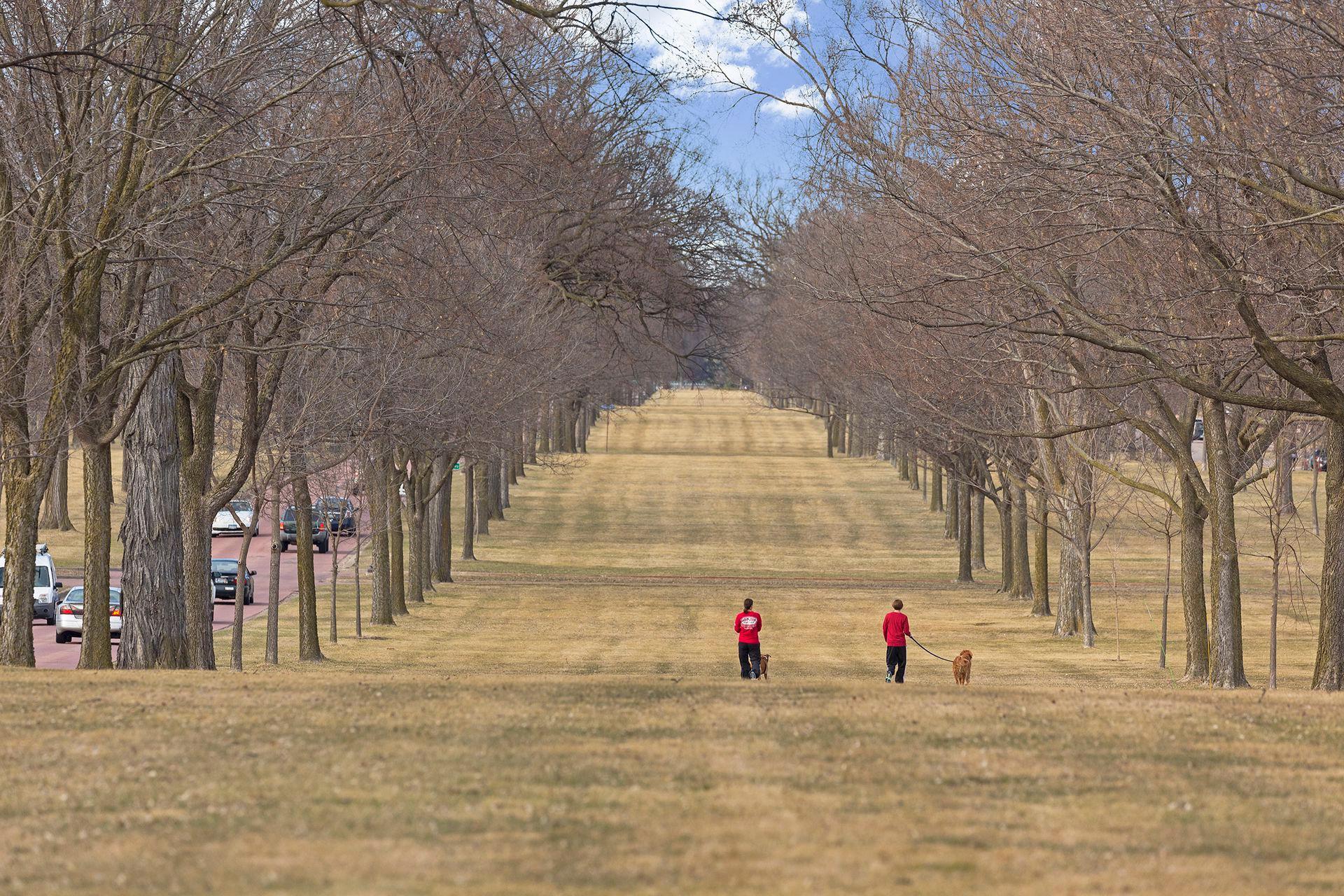 3525 30th Avenue North Robbinsdale, MN 55422 - Photo 54 of 57