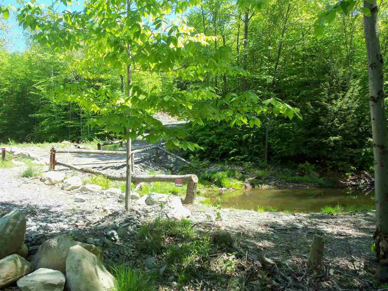 0 Goodell Road Petersburgh, NY 12138 - Photo 12 of 25 Photo 12