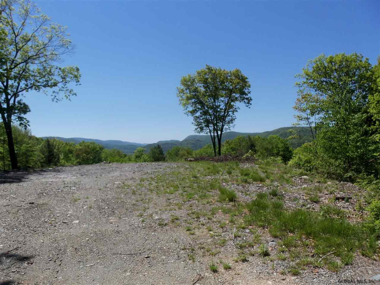 0 Goodell Road Petersburgh, NY 12138 - Photo 18 of 25 Photo 18