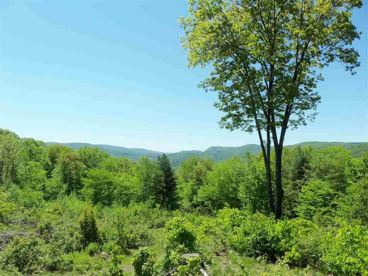 0 Goodell Road Petersburgh, NY 12138 - Photo 19 of 25 Photo 19