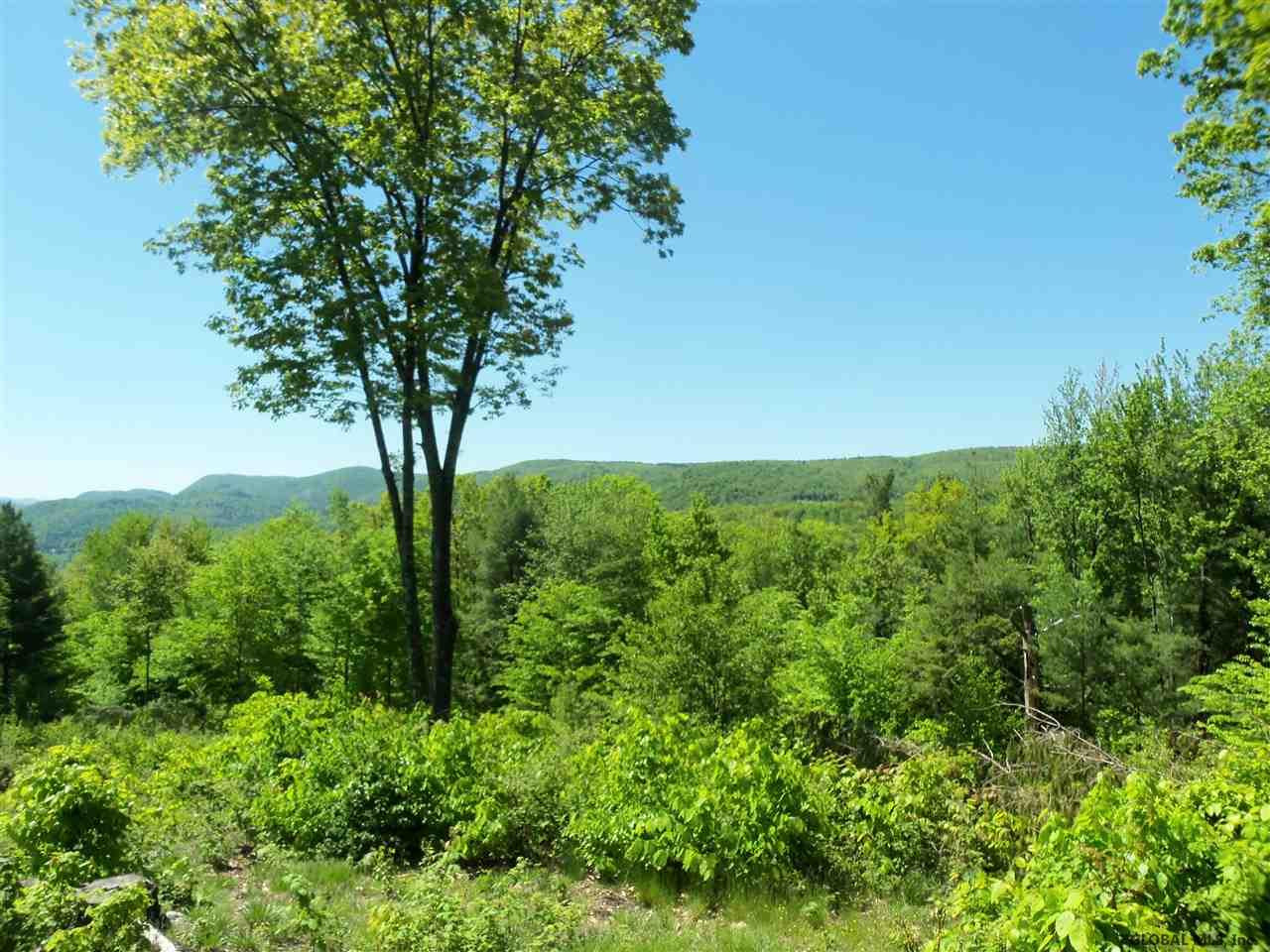 0 Goodell Road Petersburgh, NY 12138 - Photo 20 of 25 Photo 20