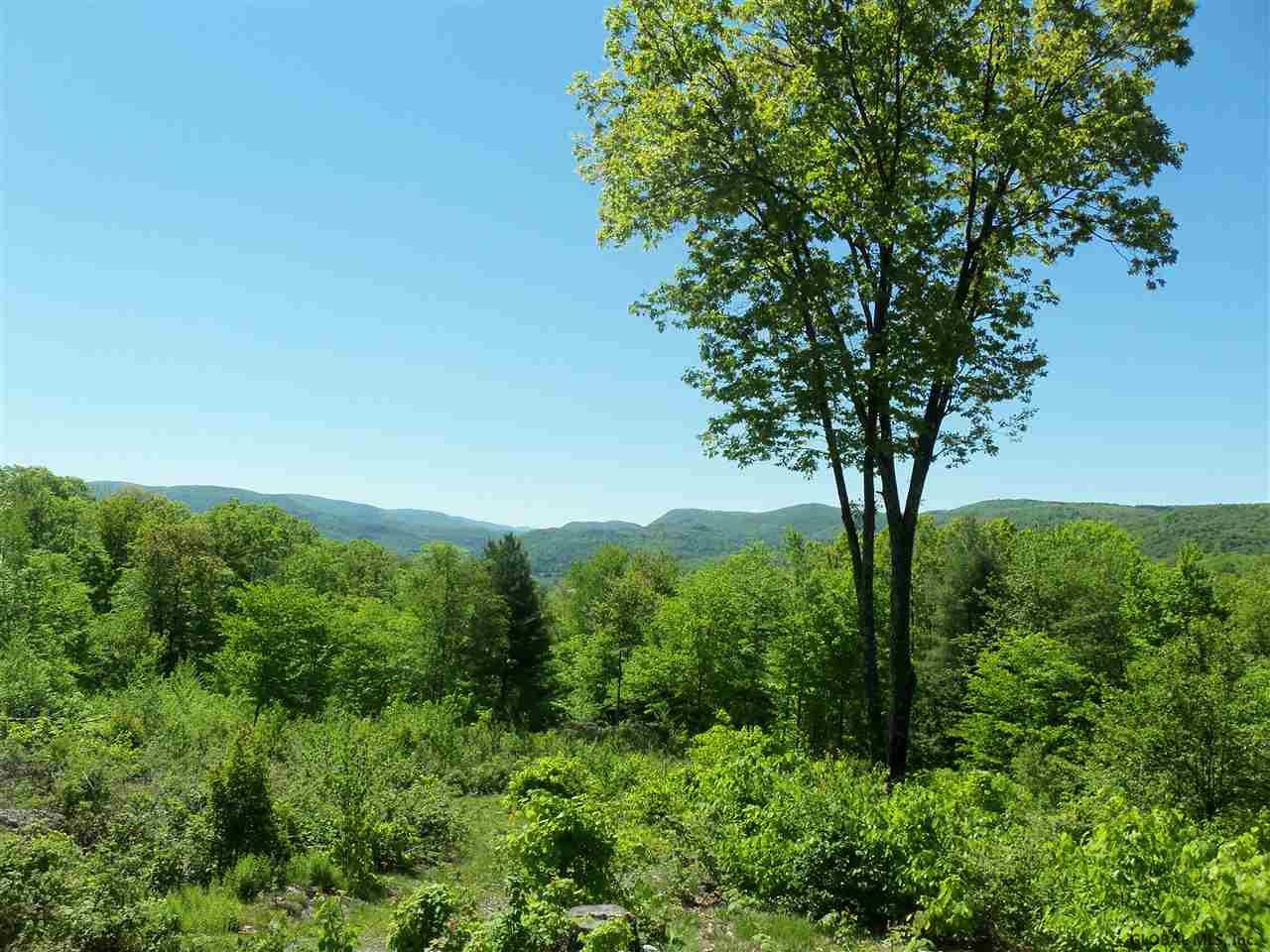 0 Goodell Road Petersburgh, NY 12138 - Photo 21 of 25 Photo 21