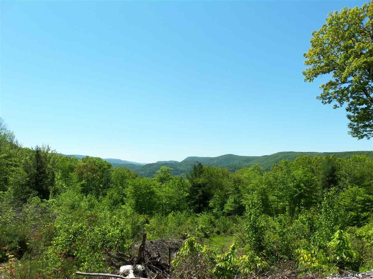 0 Goodell Road Petersburgh, NY 12138 - Photo 23 of 25 Photo 23