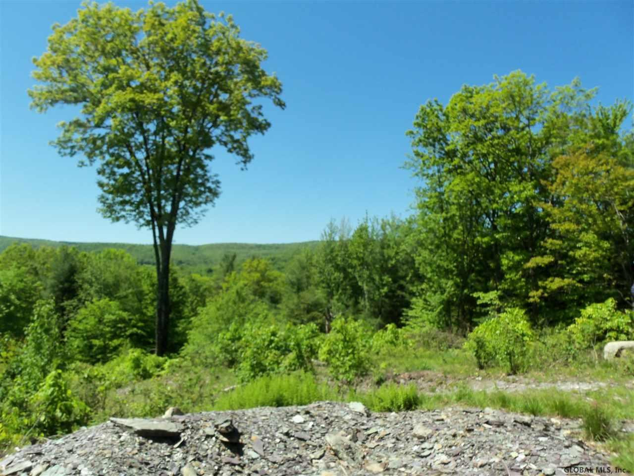 0 Goodell Road Petersburgh, NY 12138 - Photo 24 of 25 Photo 24