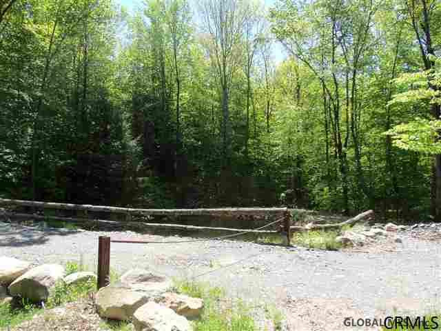 0 Goodell Road Petersburgh, NY 12138 - Photo 3 of 25 Photo 3