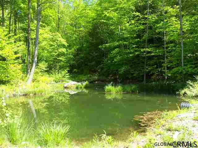 0 Goodell Road Petersburgh, NY 12138 - Photo 5 of 25 Photo 5