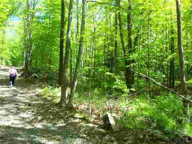 0 Goodell Road Petersburgh, NY 12138 - Photo 8 of 25 Photo 8
