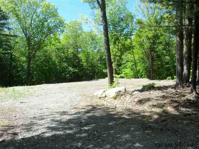 0 Goodell Road Petersburgh, NY 12138 - Photo 9 of 25 Photo 9