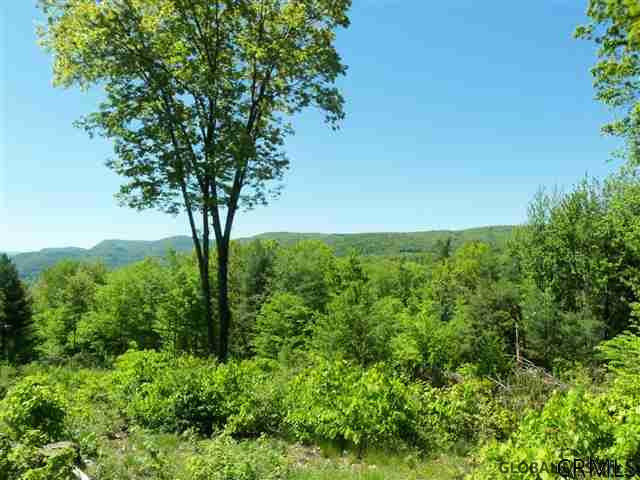0 Goodell Road Petersburgh, NY 12138 - Photo 10 of 25 Photo 10