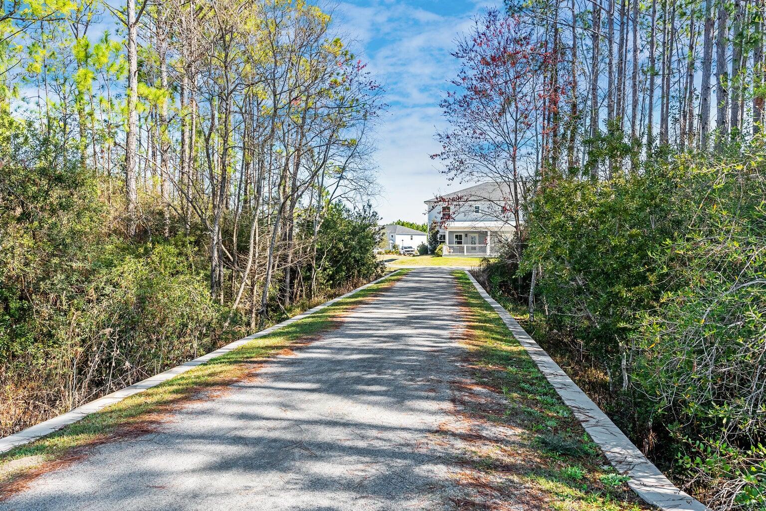 75 Golden Bell Ct Inlet Beach, Unit D Inlet Beach, FL 32461 - Photo 26 of 32 a view of a backyard with plants