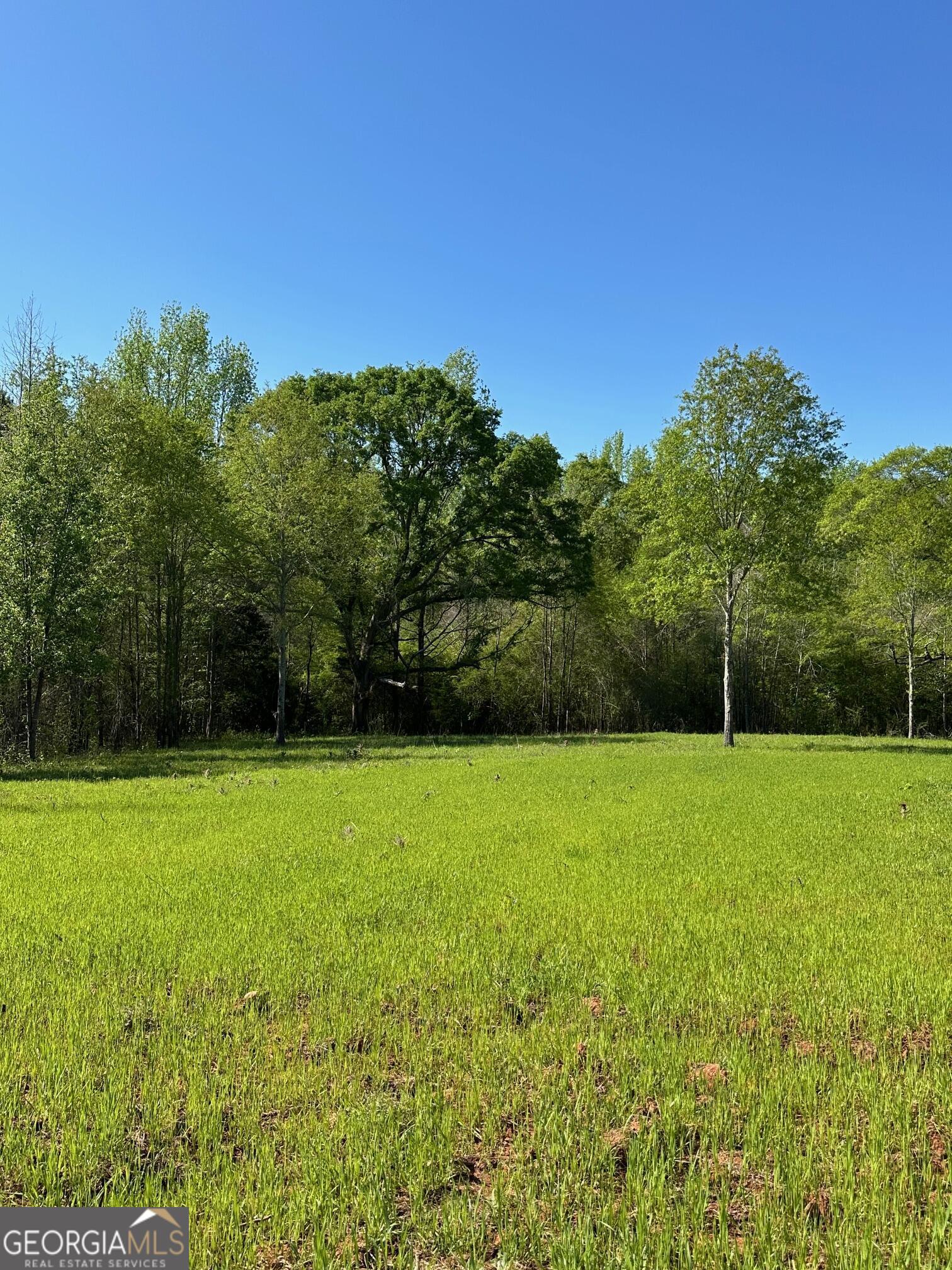 0 W Road Williamson, GA 30292 - Photo 2 of 6 a view of a field with a tree