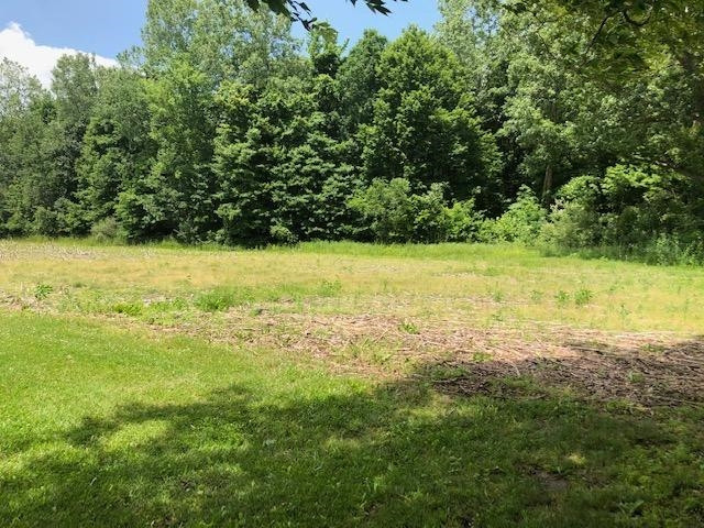12310 Snell Road Milan, MI 48160 - Photo 21 of 24 Photo 21