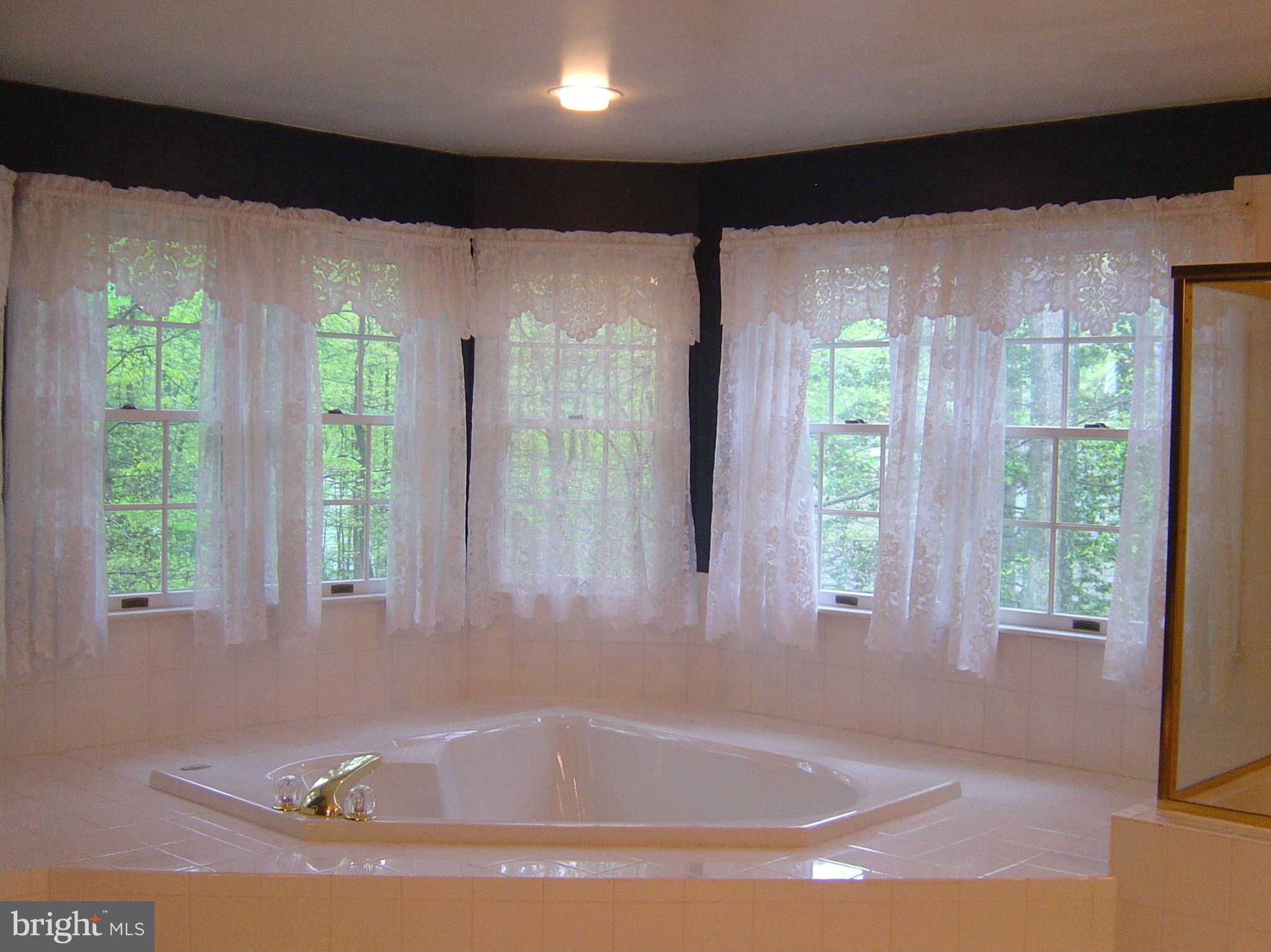 2713 Howard Grove Road Davidsonville, MD 21035 - Photo 22 of 30 Bath (Master)
