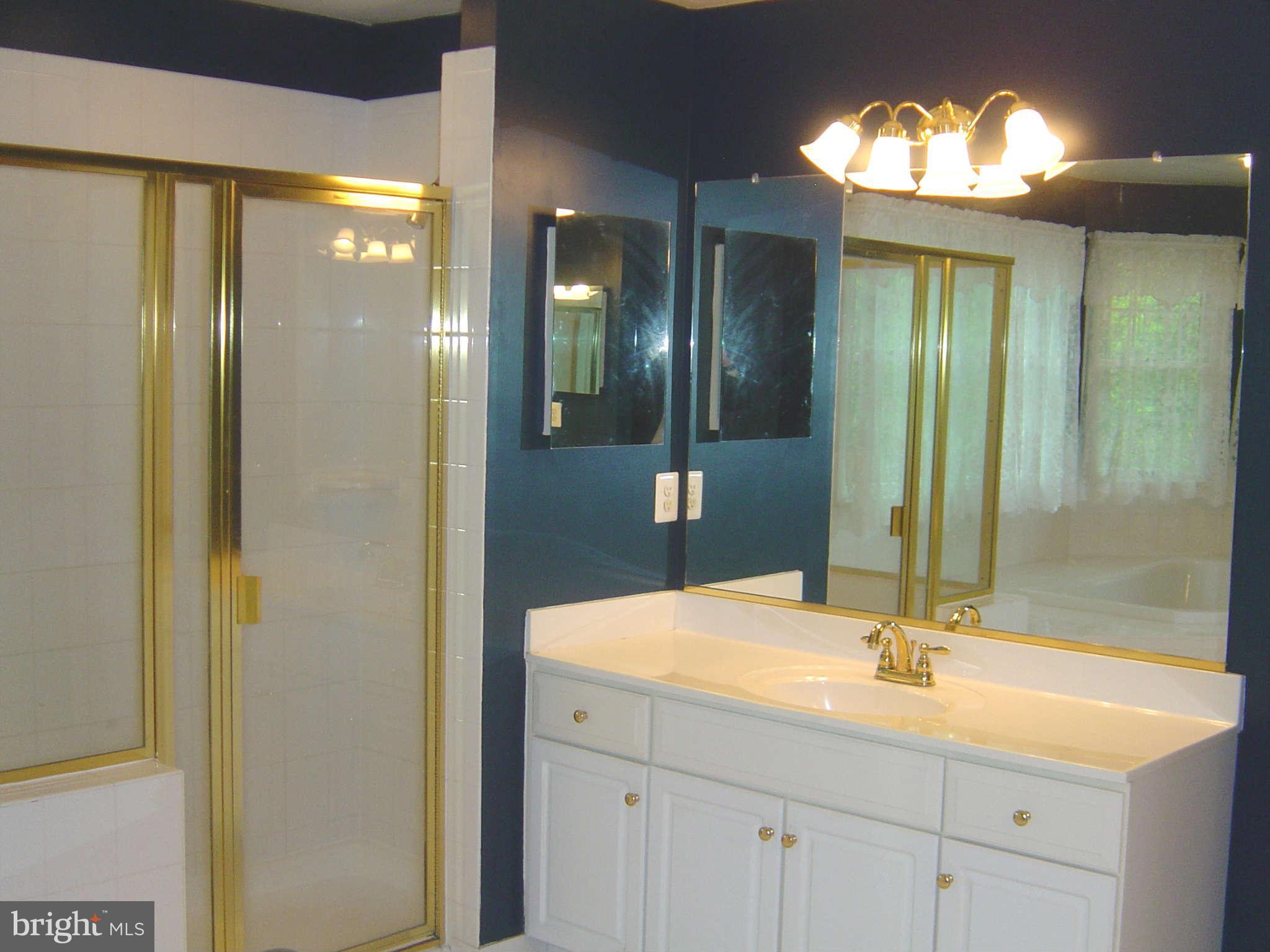 2713 Howard Grove Road Davidsonville, MD 21035 - Photo 23 of 30 Bath (Master)