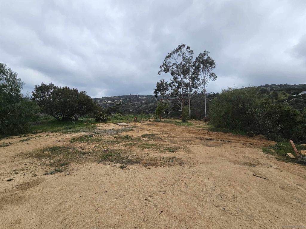 6465 Rainbow Heights Road Fallbrook, CA 92028 - Photo 19 of 36 a view of a yard with a tree