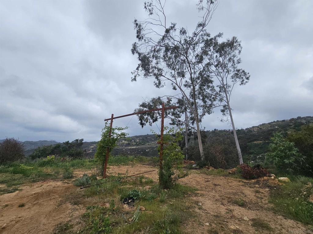 6465 Rainbow Heights Road Fallbrook, CA 92028 - Photo 20 of 36 a view of a tree in a yard next to a building